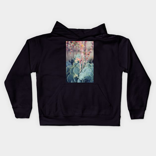 Echeveria #4 Kids Hoodie by ALICIABOCK